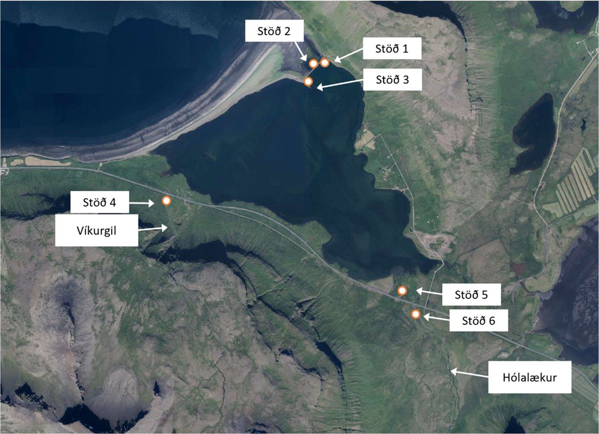 Map of Lárvaðall with the sampling stations circled: three at the Lárós outlet in the northwest corner, one on the stream Víkurgil to the west and two on Hólalækur in the southeast by the road crossing.